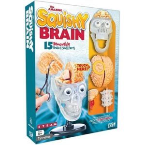 11261