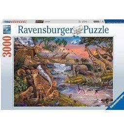 11852