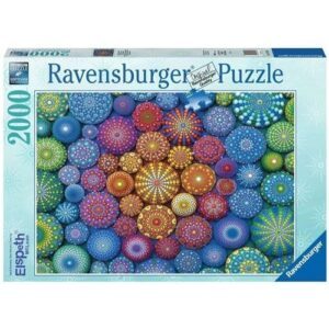 12241