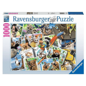 15570