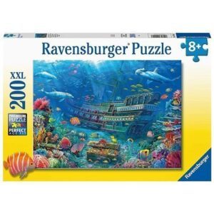 20707
