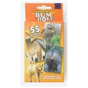 21181