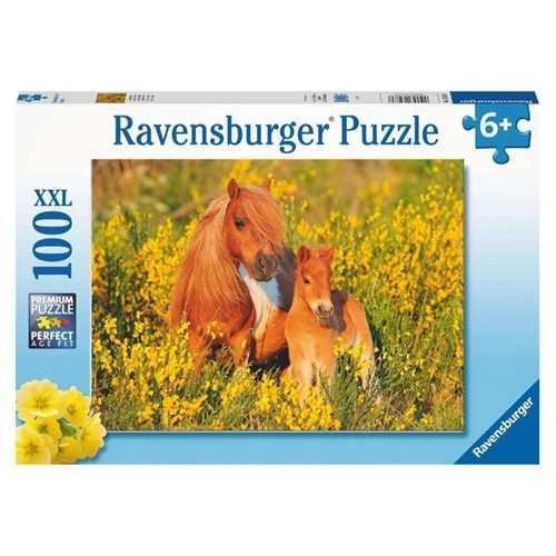 f5b95bd5-d13b-4072-8d0d-3b2bd8749b41 24362