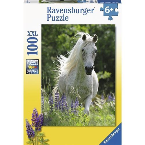 c902215d-3c5a-4522-a992-215c74708742 24198