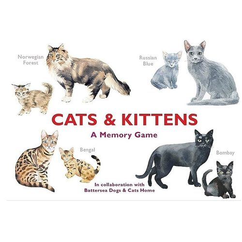 13c706e1-196c-4b57-b502-f3a4fc7f2598 27392