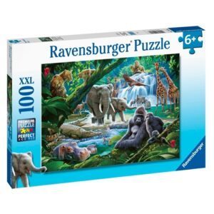 28985