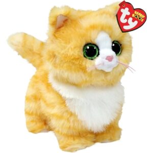 31696